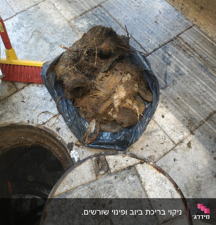 פתח ביוב פתוח עם שורשים בשקית שחורה